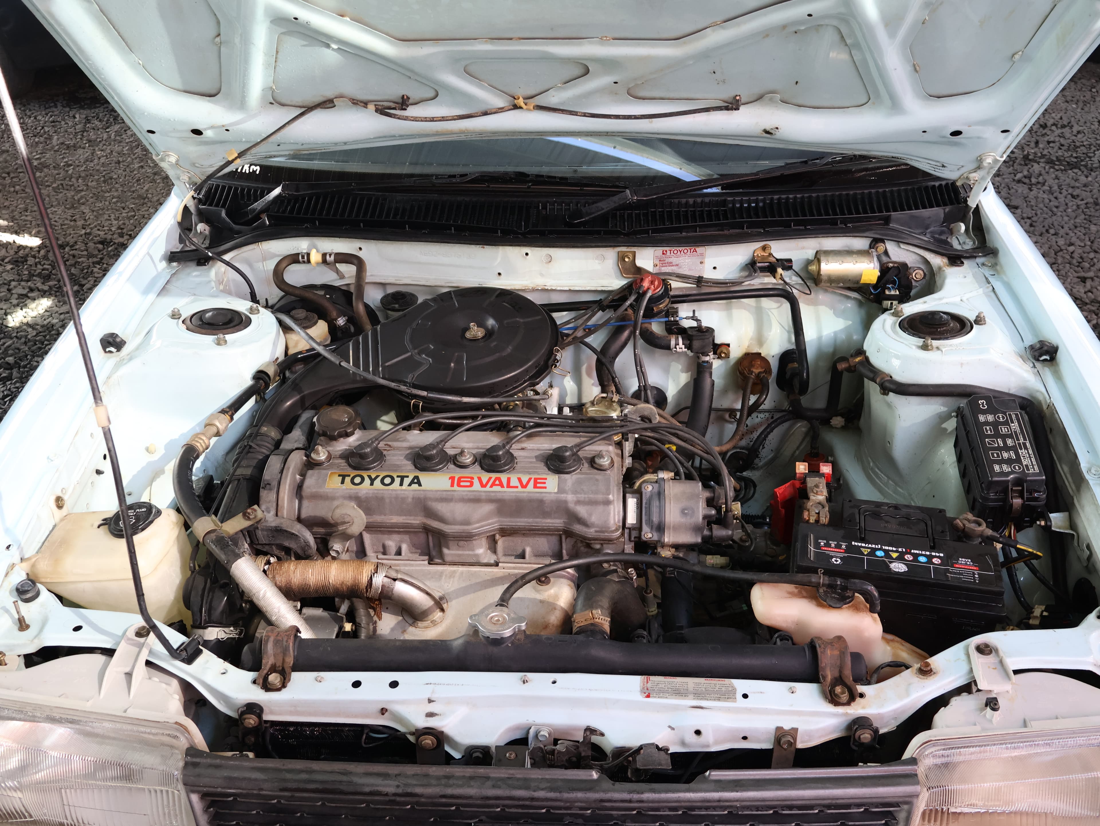 1999 Toyota Corolla image 5